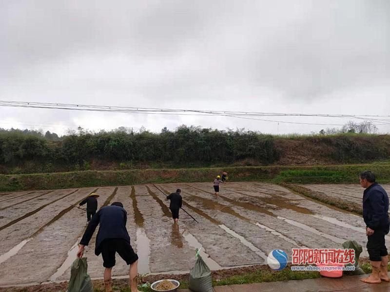 新邵县酿溪镇多举措治理耕地抛荒