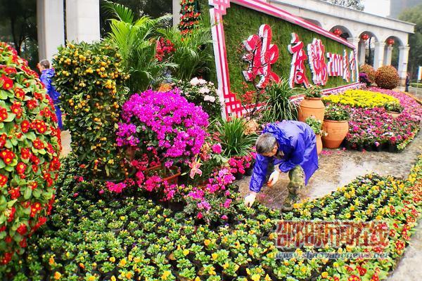 邵阳20余万盆“欢度春节”鲜花立体景观基本完工(图2)
