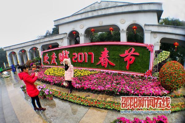 邵阳20余万盆“欢度春节”鲜花立体景观基本完工(图1)