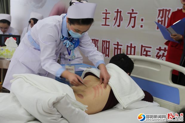 邵阳百名中医药行业岗位能手同台竞技推动中医药事业发展(图2)