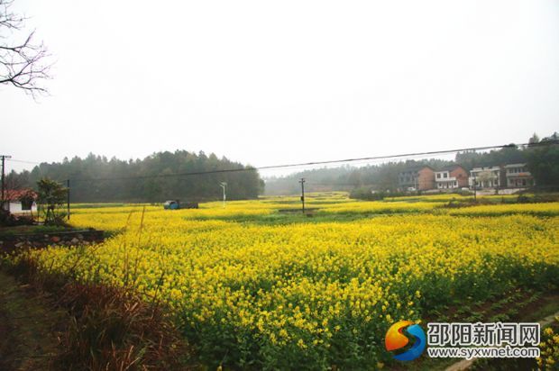 邵阳市规划局全力对口帮扶 实施精准扶贫(图2)