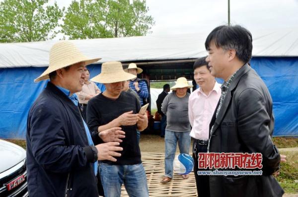 邵阳市农科院调研邵东县黑田铺镇西瓜种植工作(图3)