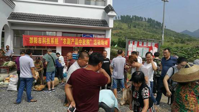 邵阳市科技系统开展“农副产品中秋购”活动(图1)