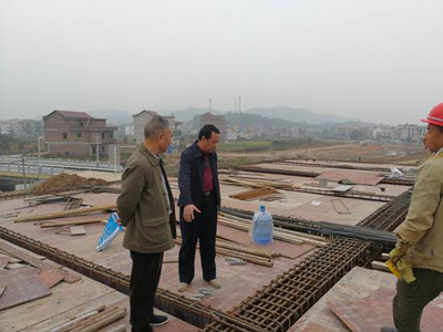 邵阳市地震局考察指导严塘农居地震安全工程示范点(图1)