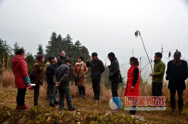 邵阳市知联会农业组到隆回西洋江镇三和村进行精准扶贫调研(图1)