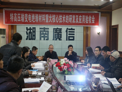 邵阳市战略性新兴产业项目取得丰硕成果(图1)