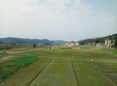 精准扶贫在路上，文明卫生当先行(图1)