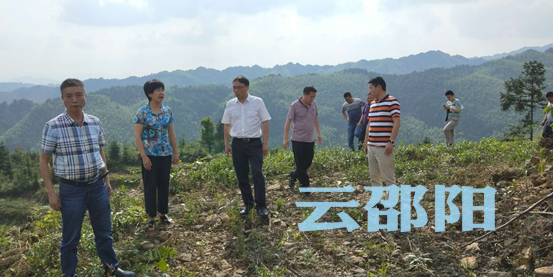 邵阳市住建局扎实开展联点帮扶工作(图1)