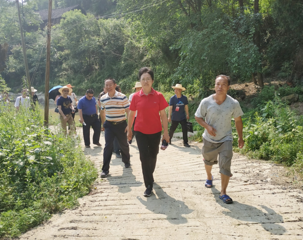 邵阳市政协副主席伍邵华到洞口县白云村指导扶贫工作(图1)