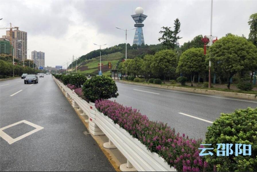 18万盆鲜花！这个国庆邵阳将被花“扮靓”(图1)
