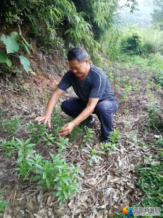 邵阳5人上榜第三季度"湖南好人榜"(图4)