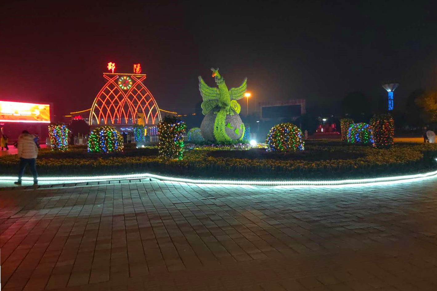 邵阳城区六座春节摆花完工，年度鲜花盛宴来袭！(图7)