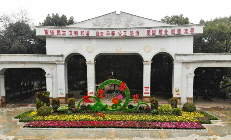 邵阳城区六座春节摆花完工，年度鲜花盛宴来袭！(图6)