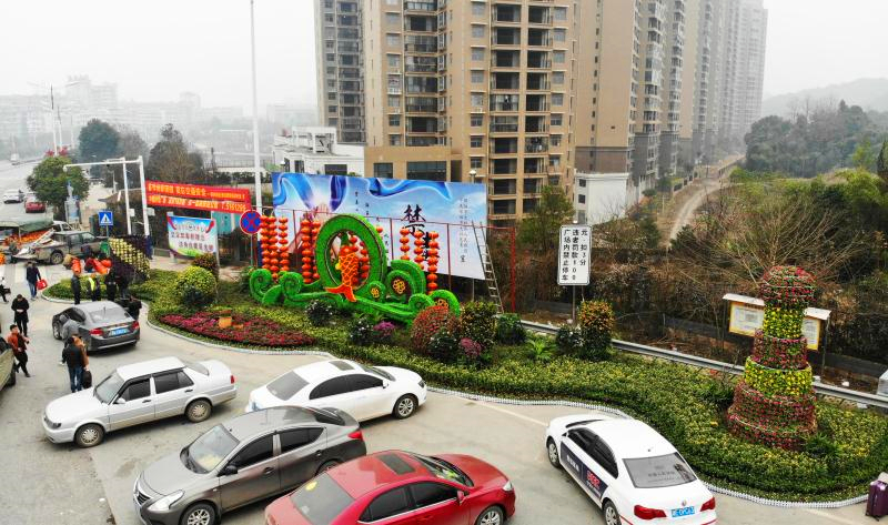 邵阳城区六座春节摆花完工，年度鲜花盛宴来袭！(图4)