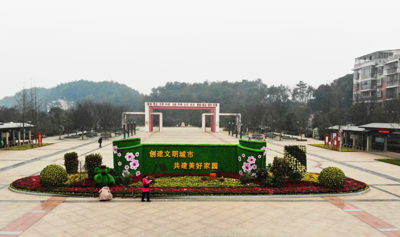 邵阳城区六座春节摆花完工，年度鲜花盛宴来袭！(图5)