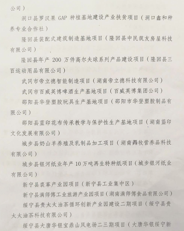 邵阳表彰一批产业发展和重点项目建设先进单位和个人(图3)