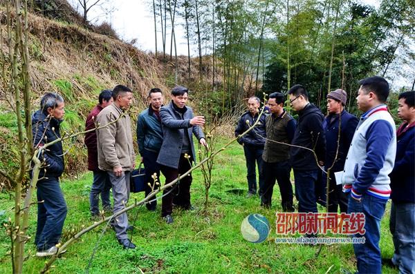 邵阳市农科院组织专家团到城步开展技术培训(图2)