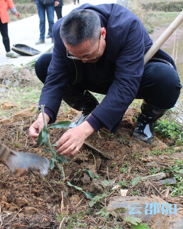 邵阳市林业局深山赠树苗情暖贫困村(图3)