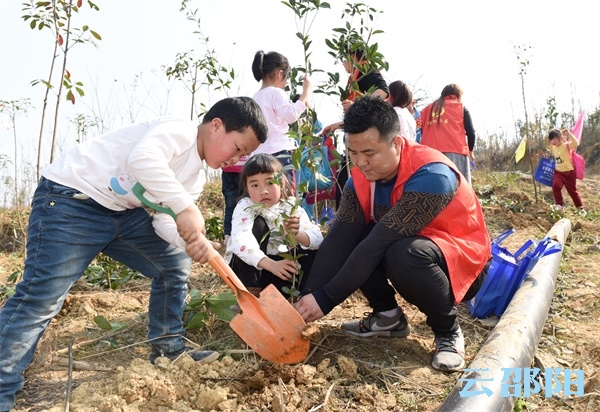 邵阳300余名志愿者开展公益植树活动(图5)