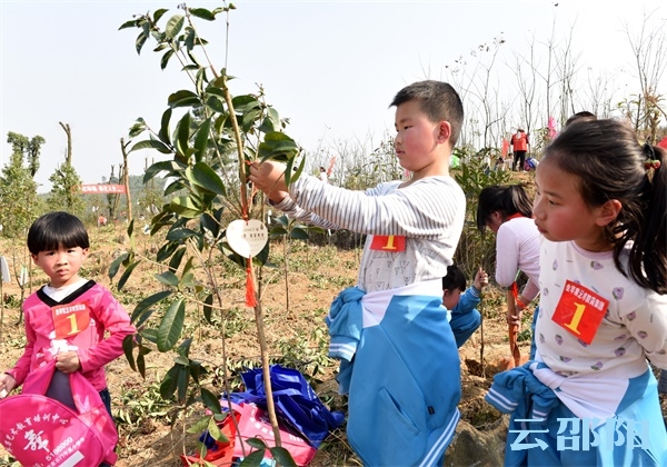 邵阳300余名志愿者开展公益植树活动(图6)