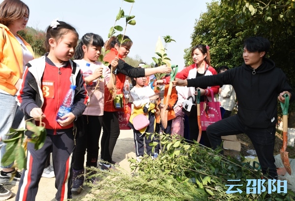 邵阳300余名志愿者开展公益植树活动(图1)