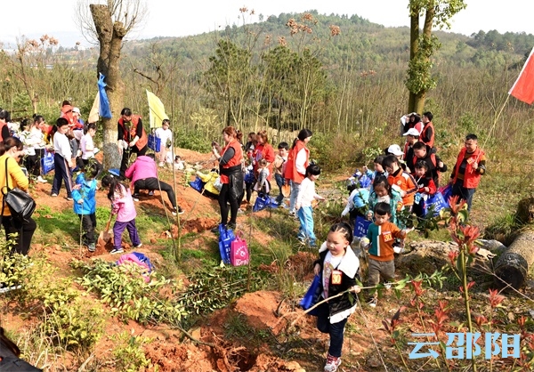 邵阳300余名志愿者开展公益植树活动(图3)