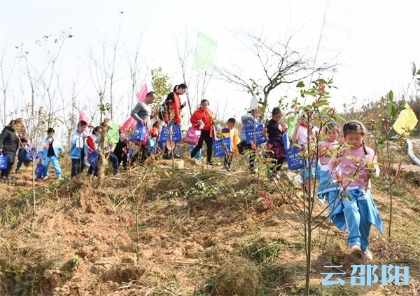 邵阳300余名志愿者开展公益植树活动(图2)