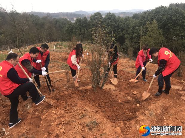 邵阳市交通运输局开展义务植树活动(图1)