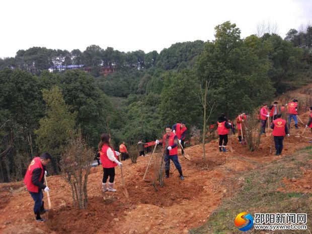 邵阳市交通运输局开展义务植树活动(图2)