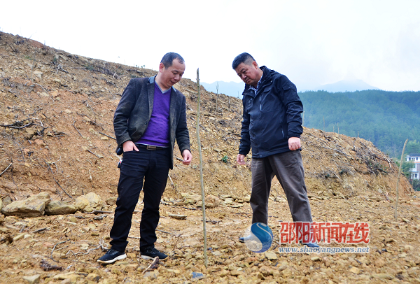 邵阳市农业科学研究院到新邵县指导猕猴桃种植技术(图1)