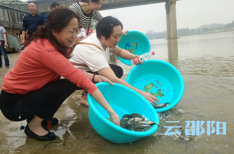 邵阳开展人工增殖放流 400万尾优质鱼苗游进资江！(图2)