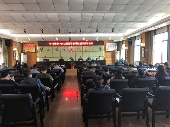 市公路管理局学习贯彻中央扫黑除恶督导组领导讲话精神(图1)