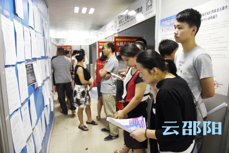 邵阳举行青年人才专场招聘会：4000余岗位虚位以待(图3)