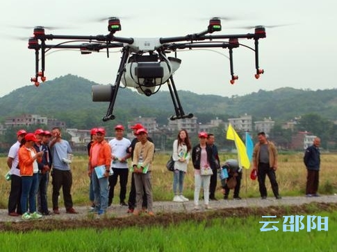 十八般武艺上阵 邵阳现代农业生产有点“潮”(图1)