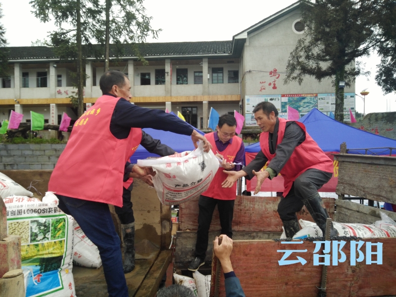 邵阳市2019年“放心农资进乡村宣传周” 活动启动(图2)