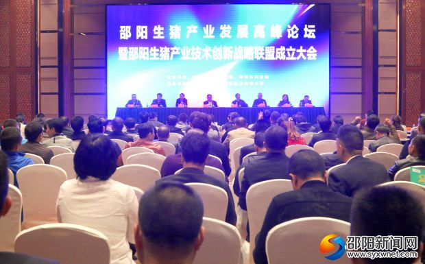 邵阳成立生猪产业技术创新战略联盟促产业发展(图1)