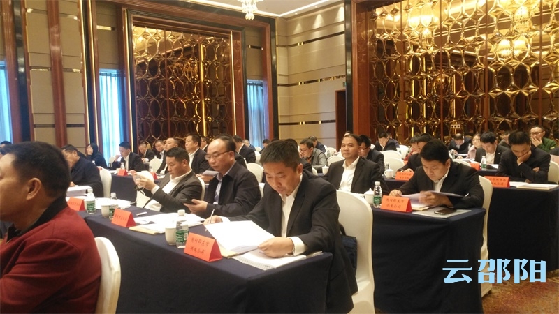 邵阳市召开电网建设工作推进会(图3)