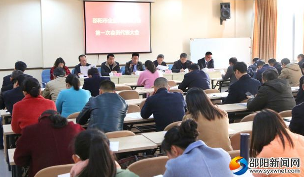 邵阳市成立企业科协联合会 助推邵阳市产业发展(图1)