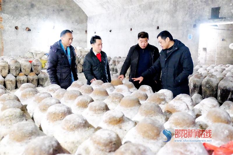 邵阳市农科院“三区”科技人才到新邵县开展科技服务(图1)