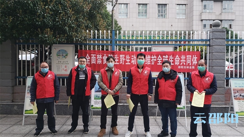 邵阳市林业局开展“世界野生动植物日”宣传活动(图1)