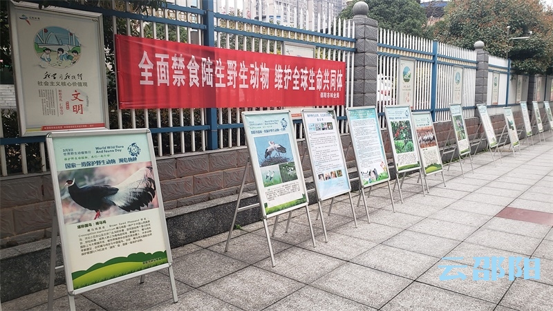 邵阳市林业局开展“世界野生动植物日”宣传活动(图2)