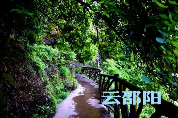 邵阳发挥新媒体优势，结合“直播+旅游”开展云山行活动(图8)