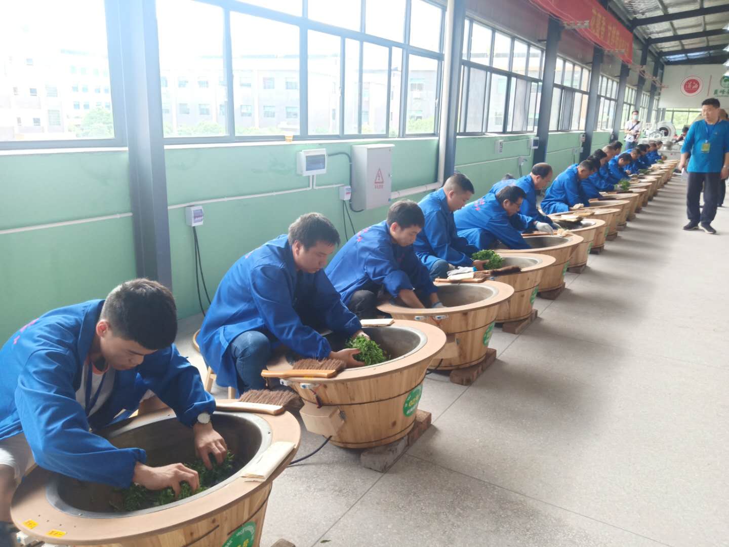 邵阳举办茶叶技能大赛 推动“邵阳红”茶产业提质升级(图1)