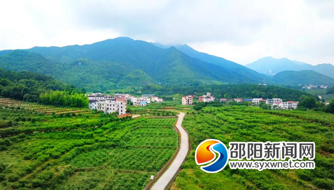 上半年邵阳自然村通水泥路建设进度全省排名第一(图2)