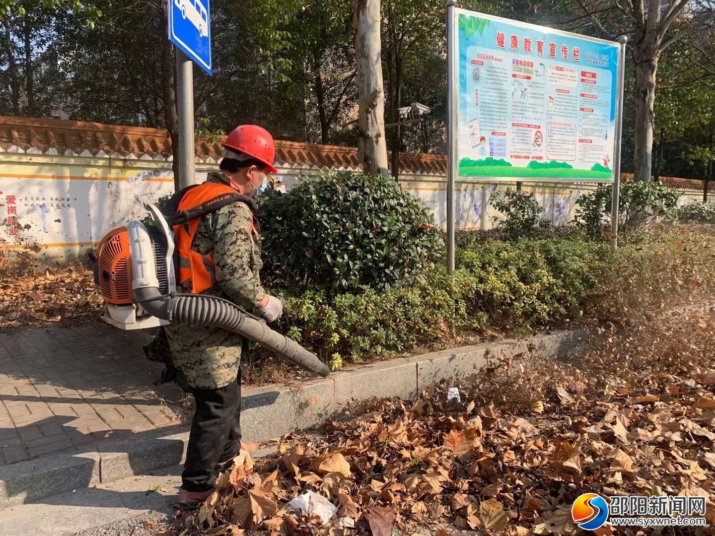 邵阳：绿化带更整洁 城市更漂亮(图1)