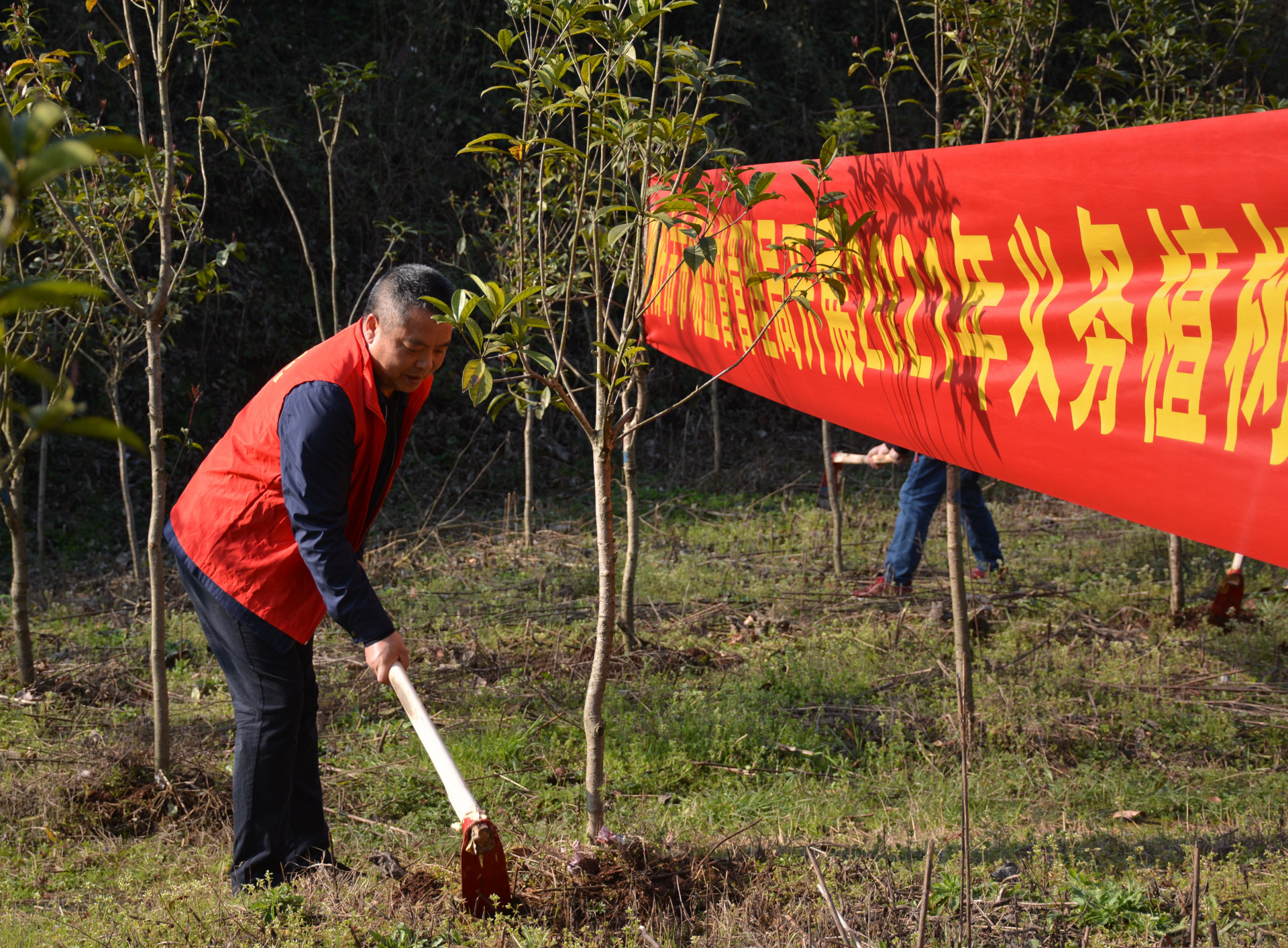 邵阳市市场监督管理局开展2021年义务植树志愿活动(图2)