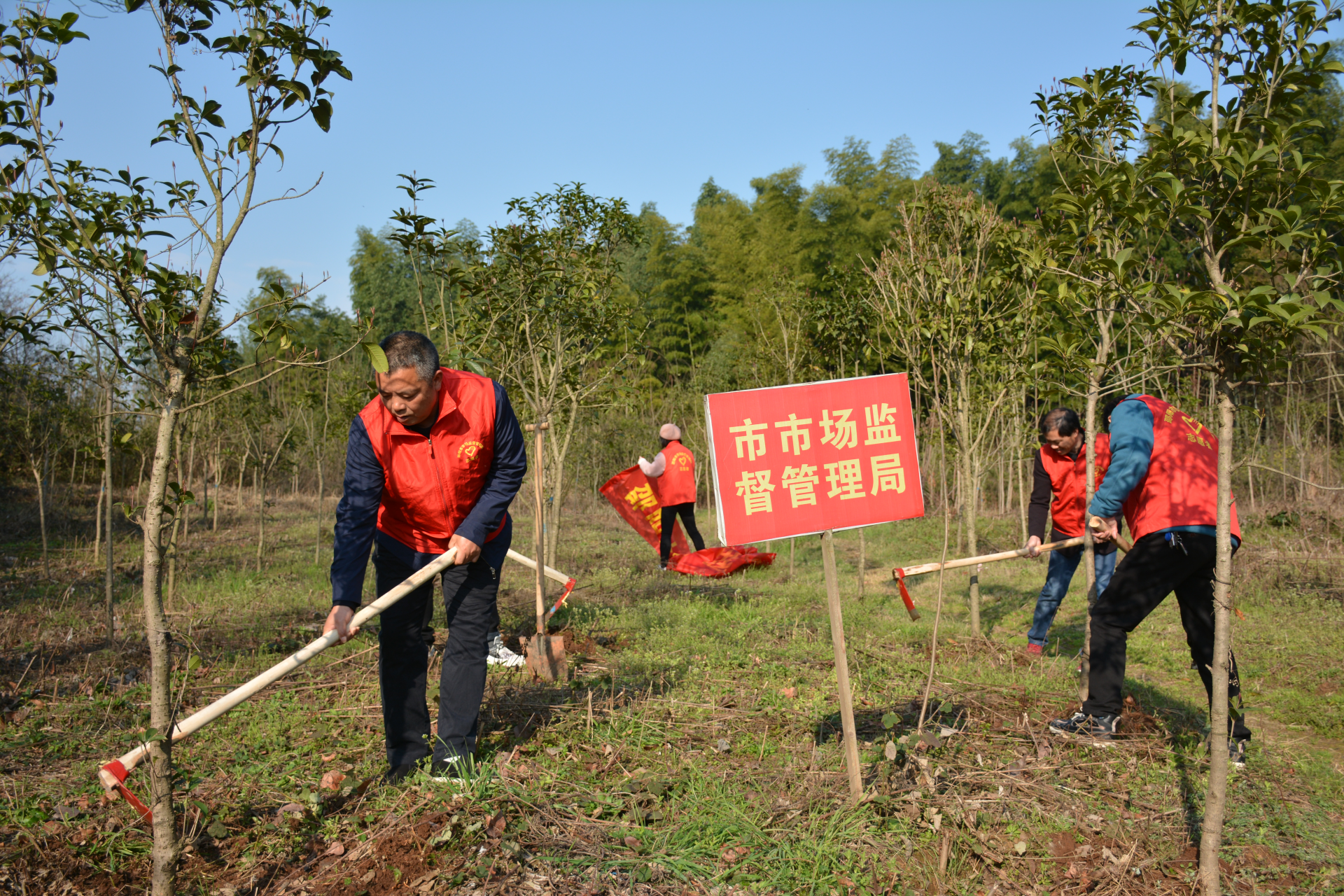 邵阳市市场监督管理局开展2021年义务植树志愿活动(图1)