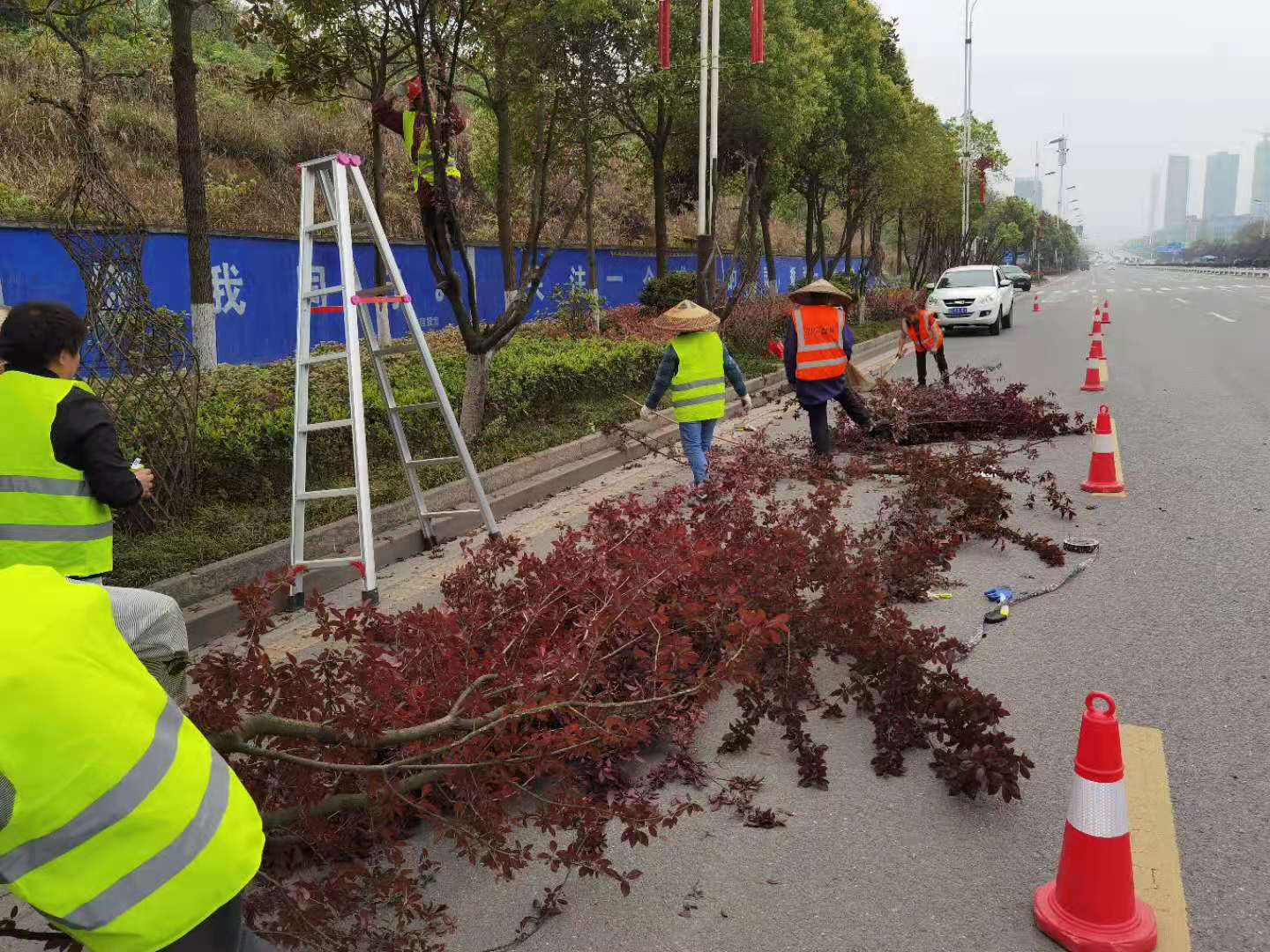 邵阳：春季好“梳妆” 园林绿化修剪忙(图1)