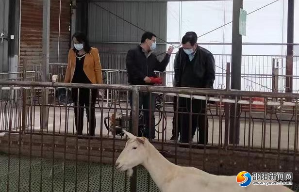 省专家服务团把脉问诊为邵阳市乡村振兴“提质加速”(图3)