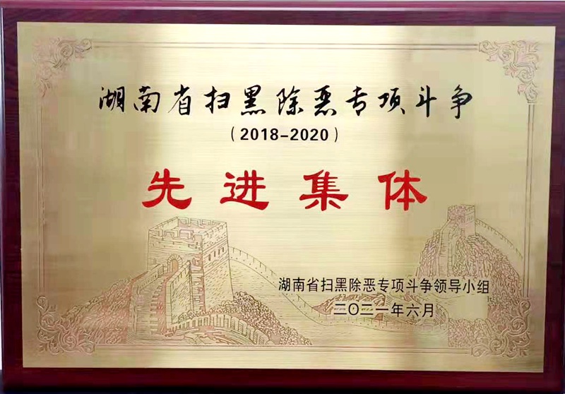 邵阳中院获评全省扫黑除恶专项斗争先进集体(图1)